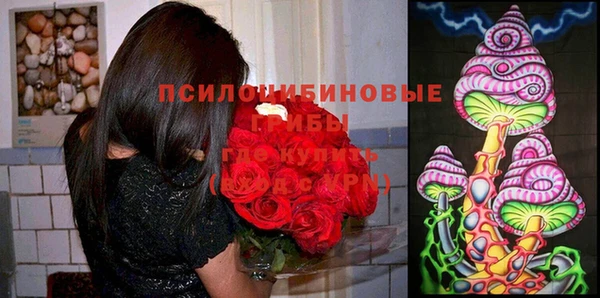 мяу мяу мука Баксан