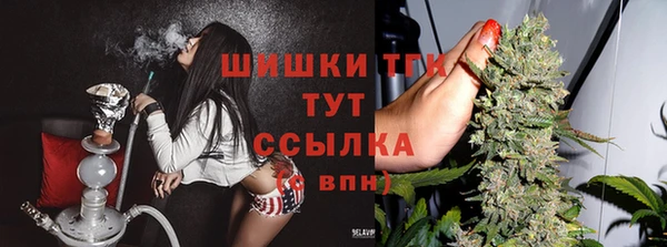 мяу мяу мука Баксан