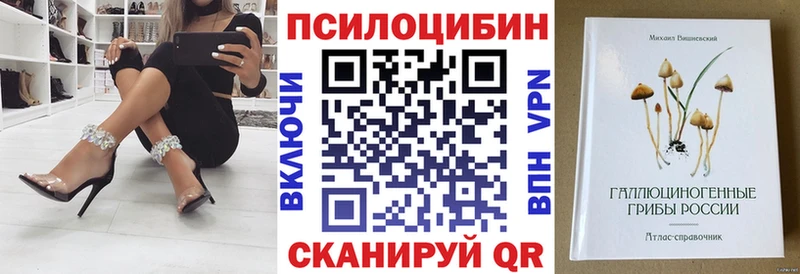 Купить закладки  Горнозаводск  Псилоцибиновые грибы GOLDEN TEACHER 